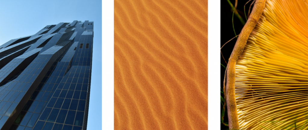 Kolme valokuvaa, joissa rakennuksen julkisivu, hiekkaa ja sienen heltat.