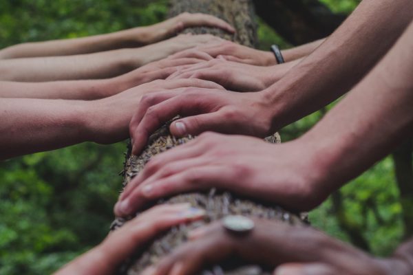 Valokuva, jossa ihmiset koskettavat kädellä puunrunkoa.