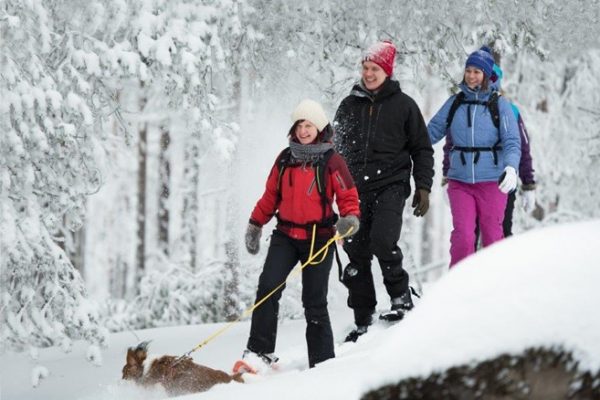 Valokuva, jossa kolme ihmistä ja koira kävelevät lumisessa metsässä.