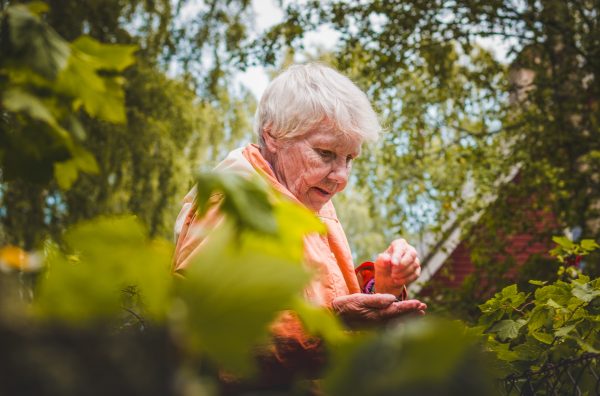 Valokuvassa vanha nainen puutarhassa.