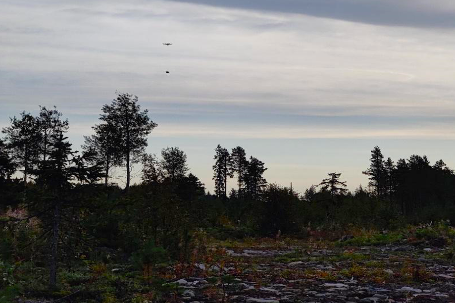 Valokuva, jossa metsää ja taivaalla drooni, joka kuljettaa laatikkoa.