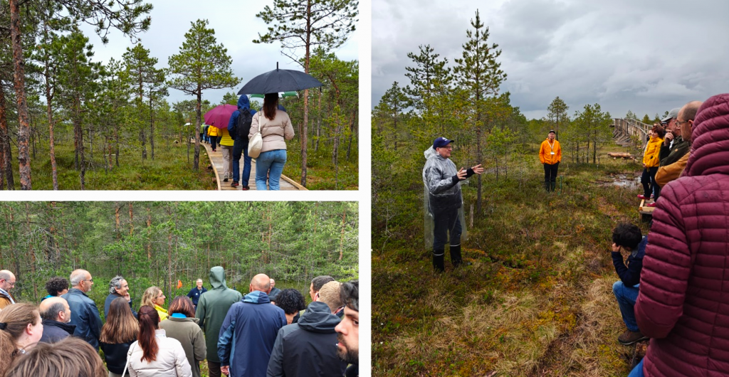 Photo collage with three photos with people in the nature reserve.